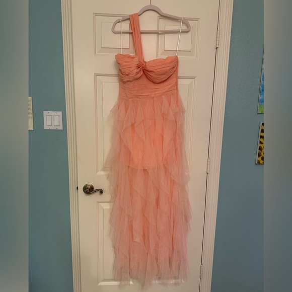 lavish style tulle maxi dress pink - hello molly! - Picture 7 of 7